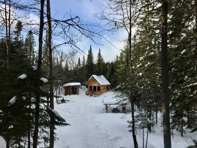 Un petit chalet en bois au bout d'un sentier enneigé, entouré de sapins.